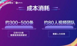 媒体爆料素材视频网站,媒体爆料背后的真相与争议